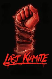 The Last Kumite မြန်မာစာတန်းထိုး