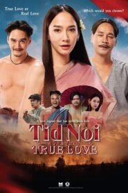 Tid Noi: More Than True Love မြန်မာစာတန်းထိုး