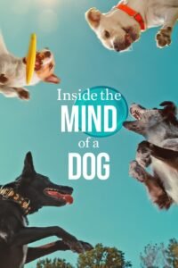 Inside the Mind of a Dog မြန်မာစာတန်းထိုး