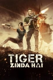 Tiger Zinda Hai 2017