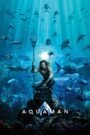 Aquaman (2018) mmsub