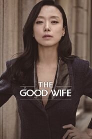 The Good Wife: Season 1
