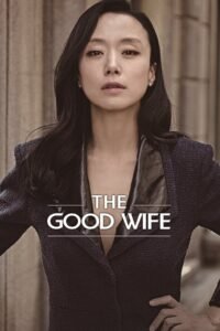 The Good Wife: Season 1