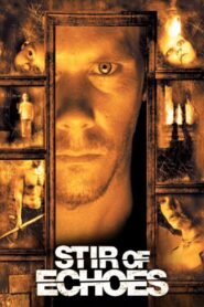 Stir of Echoes (1999) mmsub